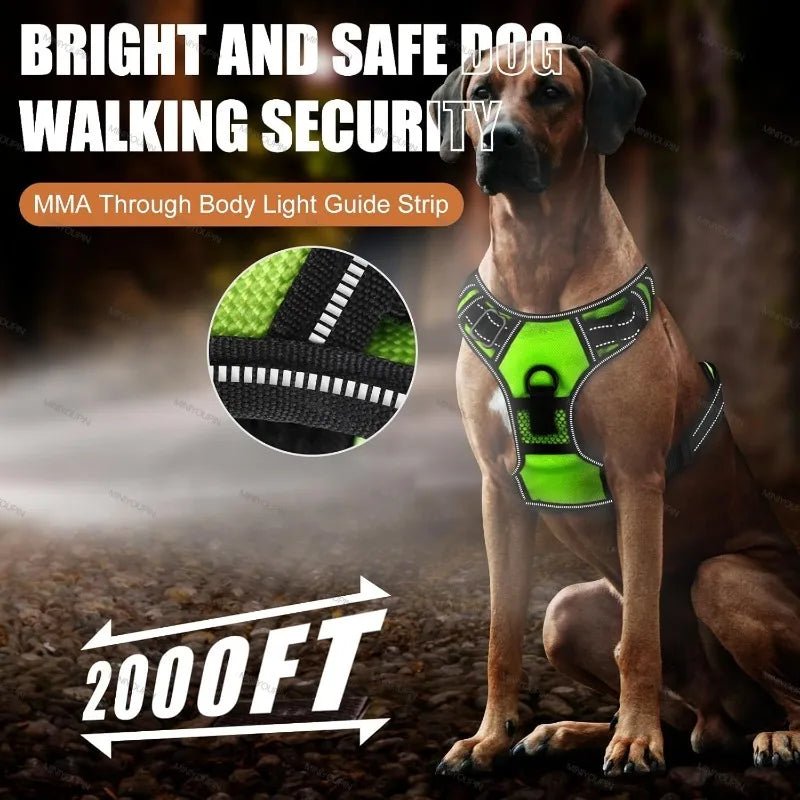 LED Glowing Dog Harness – Rechargeable Night Safety Vest with 3 Light Modes! - Real Rad Boutique