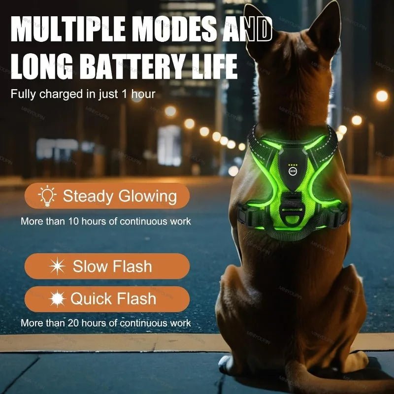 LED Glowing Dog Harness – Rechargeable Night Safety Vest with 3 Light Modes! - Real Rad Boutique