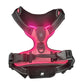 LED Glowing Dog Harness – Rechargeable Night Safety Vest with 3 Light Modes! - Real Rad Boutique