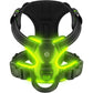 LED Glowing Dog Harness – Rechargeable Night Safety Vest with 3 Light Modes! - Real Rad Boutique