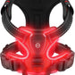 LED Glowing Dog Harness – Rechargeable Night Safety Vest with 3 Light Modes! - Real Rad Boutique
