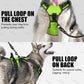 LED Glowing Dog Harness – Rechargeable Night Safety Vest with 3 Light Modes! - Real Rad Boutique