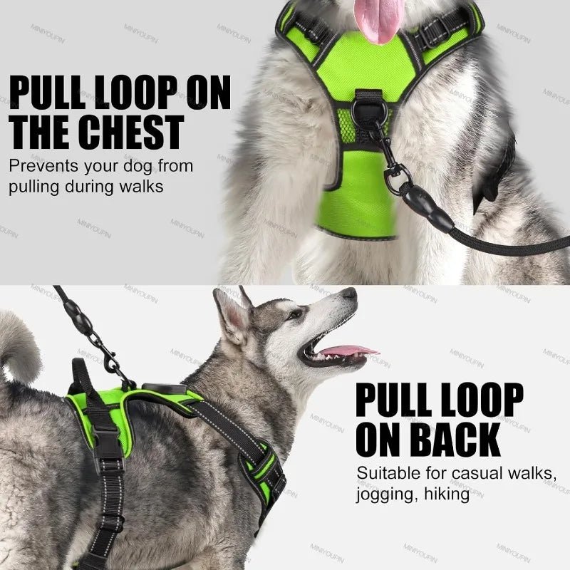 LED Glowing Dog Harness – Rechargeable Night Safety Vest with 3 Light Modes! - Real Rad Boutique